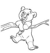 coloriage freres des ours kenai sur une branche